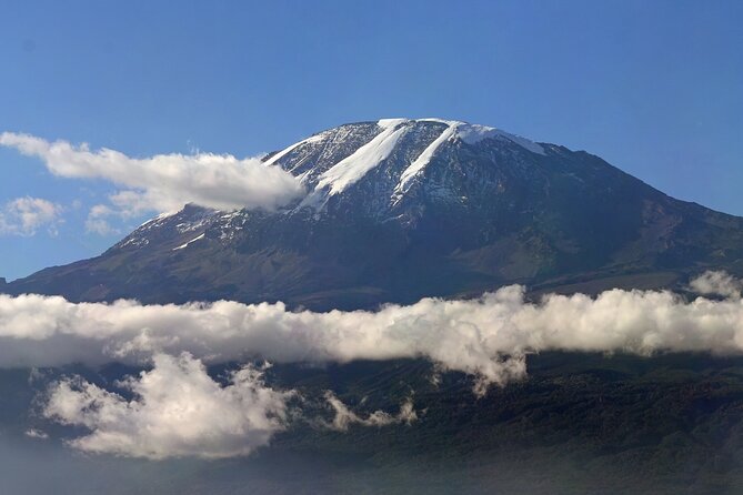 Kilimanjaro Waterfalls Hike & Moshi Hot Springs Day Trip Tour - Transportation Information