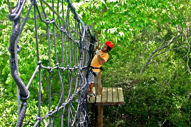 Kite Jeep Tour With Tree Canopy - Frequently Asked Questions
