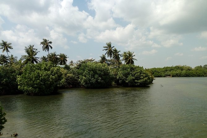 Koggala Lake Boat Tour - Pricing Structure