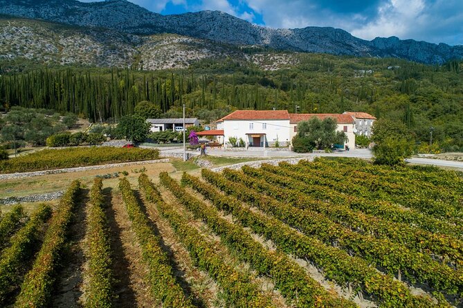 Konavle Tradition & Vines: Brajković Winery Journey - Local Culture and Tradition