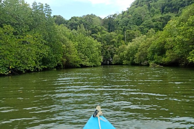 Krabi: Kayaking Tour at Ban Bor Thor Ancient Cave & Mangroves - Important Tour Information
