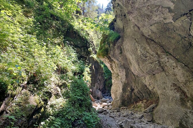Krakow : Private Tour Hiking in Tatra Mountains and Termal Baths - The Sum Up