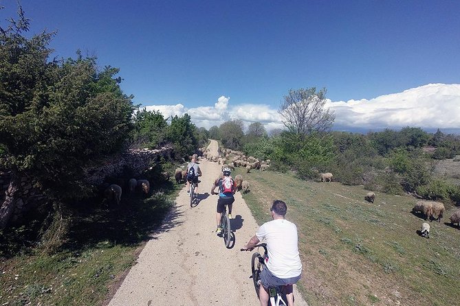 Krka Nationa Park by Electric Bike - Exceptional Customer Reviews