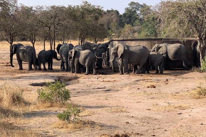 Kruger National Park Full Day Big 5 Safari Tour From Hazyview - Highlights of the Safari