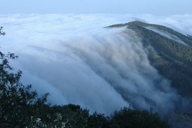 La Gomera Island Tour - Customer Feedback