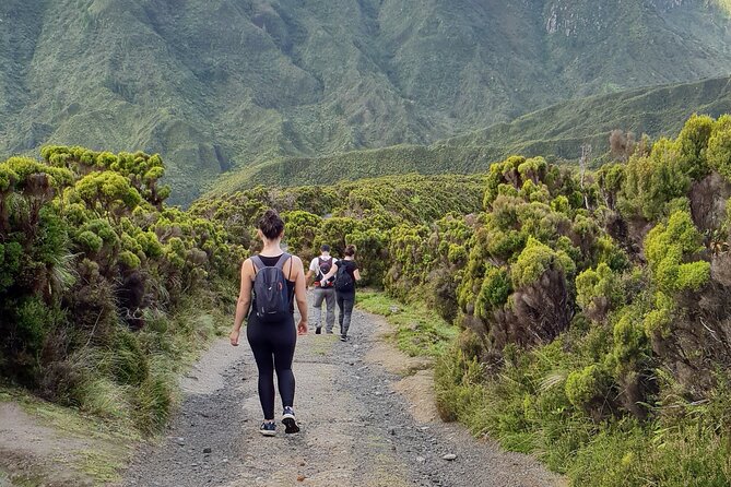 Lagoa Do Fogo: Private Scenic Walking Tour - Customer Support and Feedback