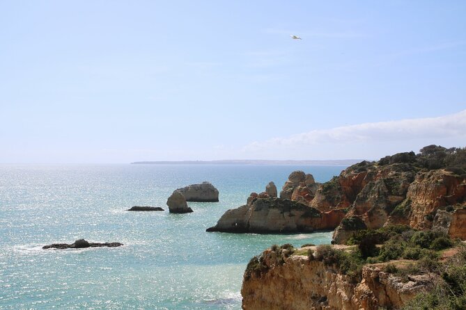 Lagos Small-Group Algarve Nature Tour - Group Size and Accessibility