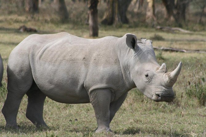 Lake Nakuru Day Trip From Nairobi - Important Considerations
