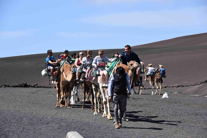 Lanzarote South Tour With Timanfaya Entrance - Accessibility Information