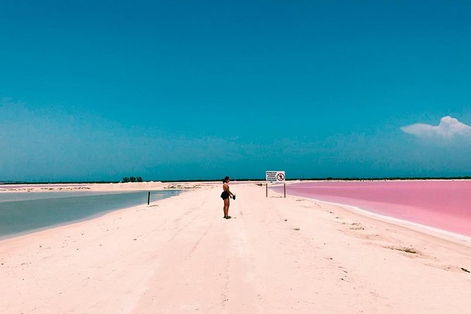 Las Coloradas Tour! Boat Ride, Lunch & Rio Lagartos From Cancun - Cancellation and Booking Policies