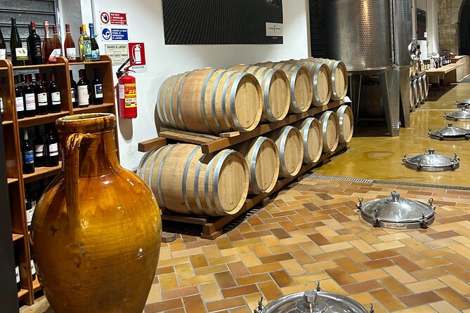 Lecce: E-Bike Tour to Galatina With Old Olive Mill & Wine Tasting - Meeting and Departure Information