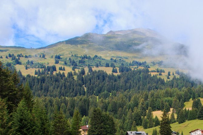 Lenzerheide Foxtrail Anda - Booking Information