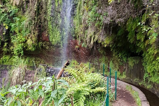 Levada Do Rei - Ribeiro Bonito (Full Day Walk) - Cancellation Policy