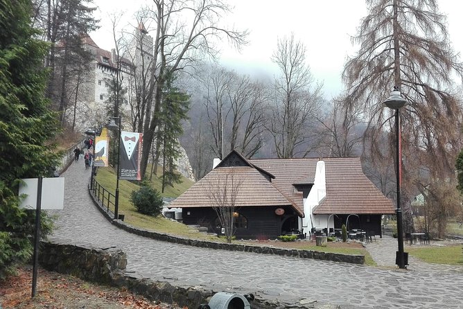 Libearty - the Brown Bear Sanctuary From Zarnesti - Picturesque Town of Brasov