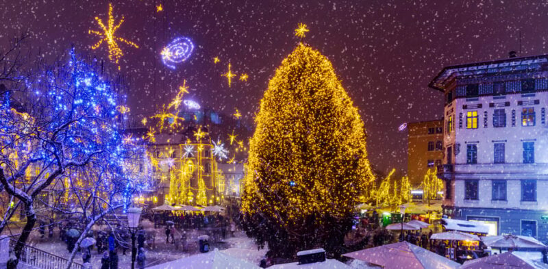 Ljubljana: Tour of the Festive Decorations - Participant Information