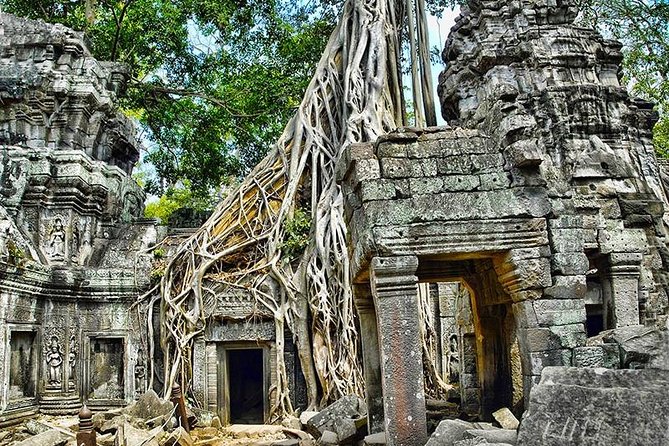Local French Speaking Guide Angkor Wat Full Day - Transportation Options Available