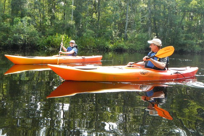 Lofton Creek Kayaking Trip With Professional Guide - Highlights From Customer Reviews