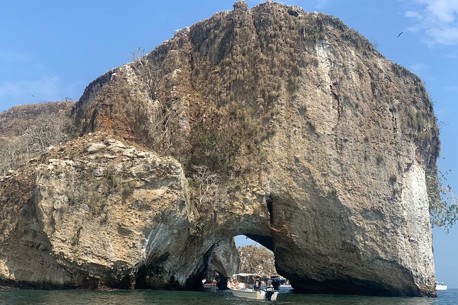 Los Arcos Snorkeling Puerto Vallarta - Traveler Experiences and Highlights