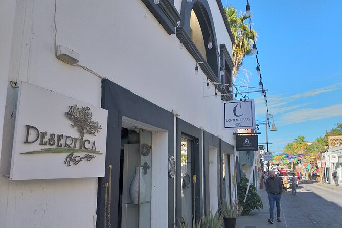Los Cabos Half-Day Tour Discovering San Jose and San Lucas - Customer Feedback and Experiences