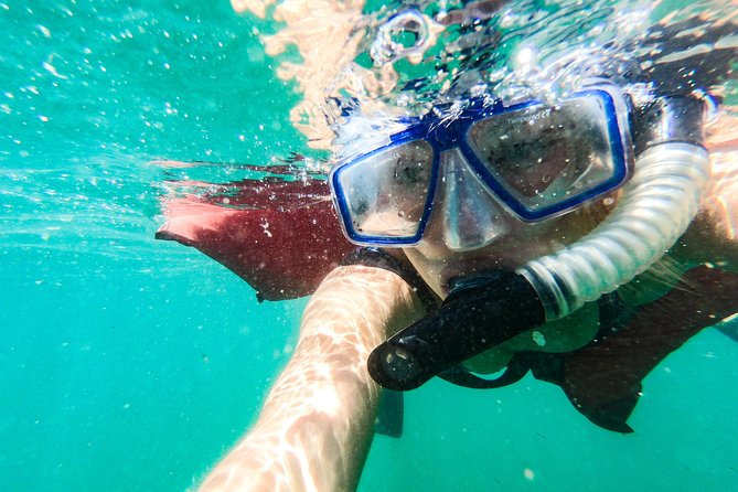 Los Cabos Reef Snorkeling Cruise With Lunch and Open Bar - Medical Considerations