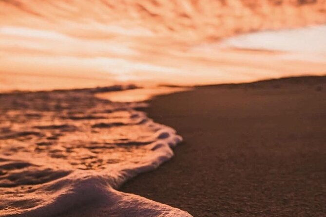 Los Cabos Turtle Release Conservation Program - Additional Information
