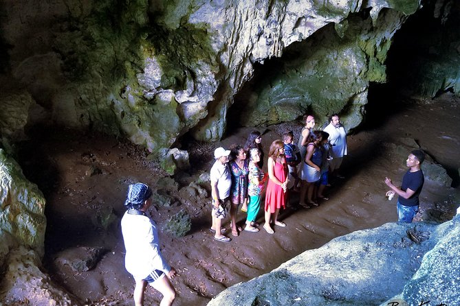 Los Haitises National Park Hiking + Kayaking - Wildlife Encounters in the Park