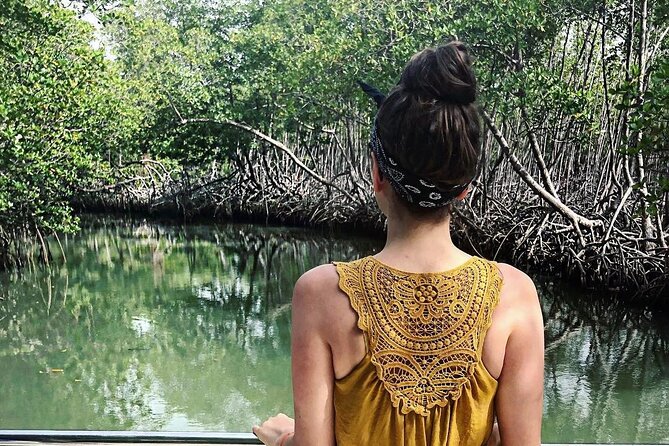 Los Haitises National Park Private Boat – Hiking 4 Hours Moist Forest Trail. - Return by Boat