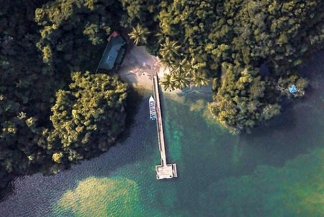 Los Haitises National Park With Lunch at Caño Hondo From Samaná Port. - What to Expect