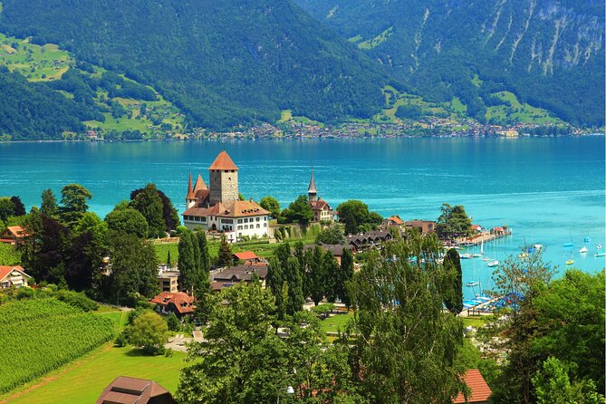 Lucerne:Private Daytrip to Swiss Villages(Interlaken-Grindelwald) - Customer Feedback