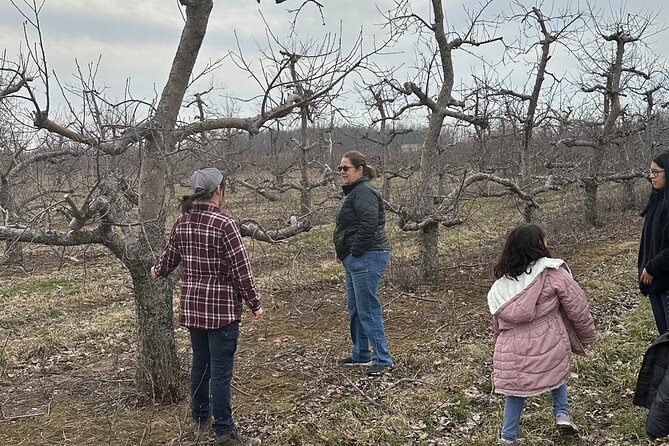 Lunch and Tour of an Apple Orchard With a Farmer in Elyria - Tasting the Orchards Freshest Cider