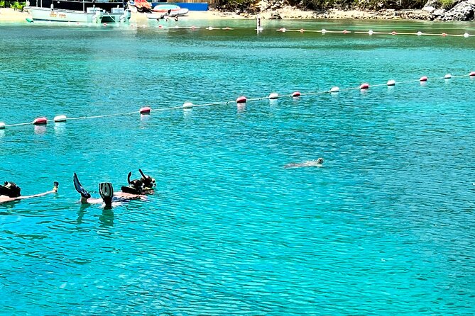 Luxury Catamaran Turtle Snorkel & Sunset Cruise - Accessibility and Medical Concerns