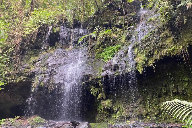 Luxury Day Trip Getting off the Beaten Path Waterfalls & Caverns - Flexibility in Start Times
