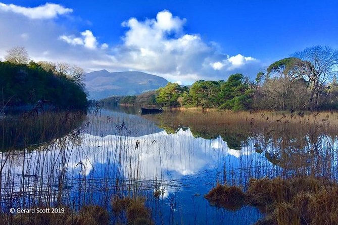 Luxury Photography Day Tour on Dingle Peninsula - Fully Guided and Chauffeured - Guidance and Support