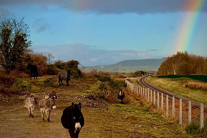 Luxury Photography Day Tour on Ring of Kerry and Skellig Ring - Fully Guided and Chauffeured - Inclusions and Transportation