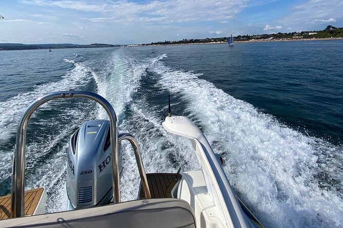 Luxury Private Rib Tour to Babbacombe Bay From Exmouth Marina - Accessibility and Participation Guidelines