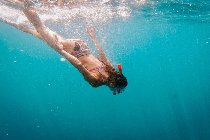 Luxury Snorkeling Tour in Cabo San Lucas - Customer Feedback