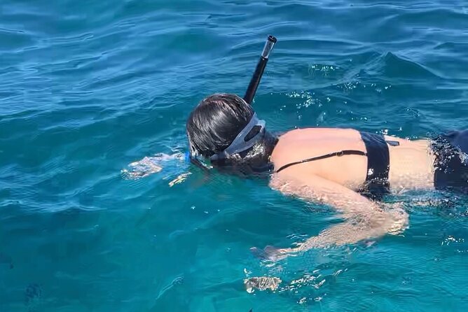 Luxury Swimming With DOLPHINS in MNEMBA and LUNCH - Booking and Cancellation Policies