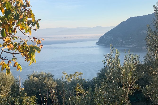 Luxury Tour Amalfi Coast by Van Mercedes - Inclusions and Exclusions