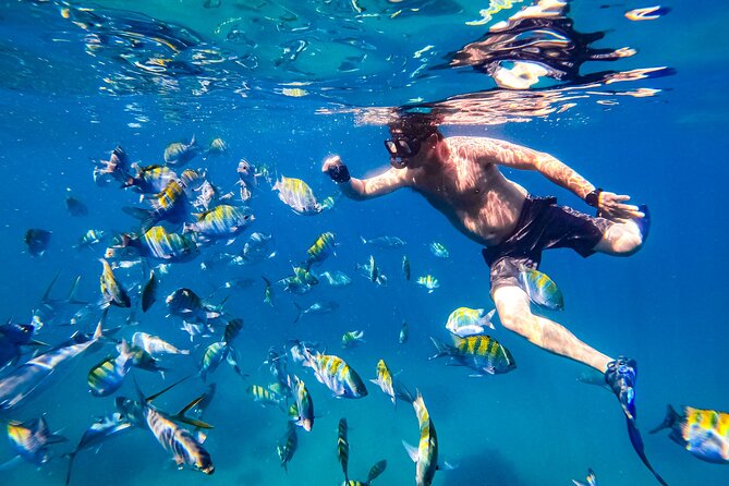 Luxury Yacht & Snorkel Retreat With Premium Open Bar and Lunch - Positive Customer Feedback