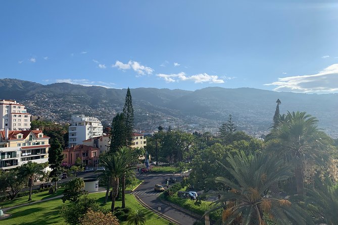 Madeira Airport Round Trip Shuttle Transfers Service - Booking Process