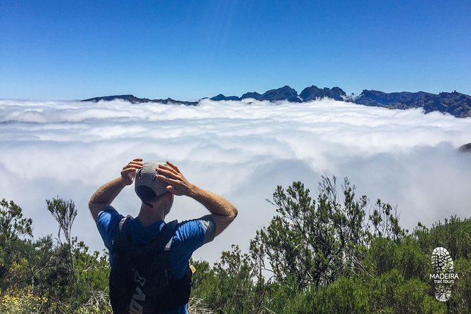 Madeira: Laurisilva Private or Small-Group Running Tour  - Funchal - Reviews and Support
