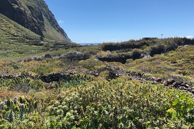 Madeira: Private Guided Half-Day Tour of Northwest Madeira - Booking and Cancellation Policies
