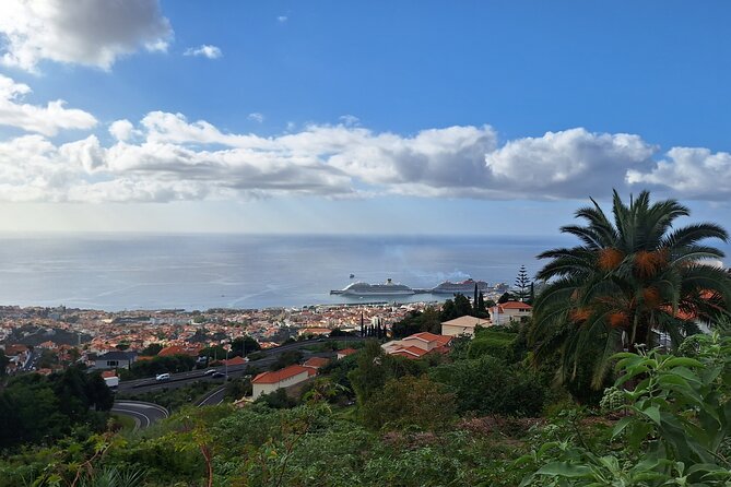Madeira Wine Tasting and Funchal City Tour - Transportation and Meeting Details