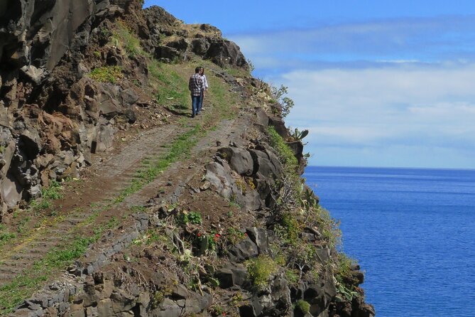 Madeiras Majestic South Coastal Wonders - Laurisilva Forest Explorations
