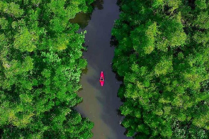 Madu River Sunrise Mangrove Kayaking From Bentota - Schedule and Operating Hours