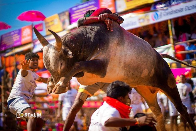Madurai to Rameswaram Full-Day Tour - Cancellation Policy