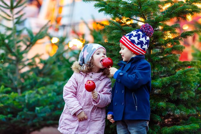 Magical Christmas Scenery in Munich - Walking Tour - Accessibility Features