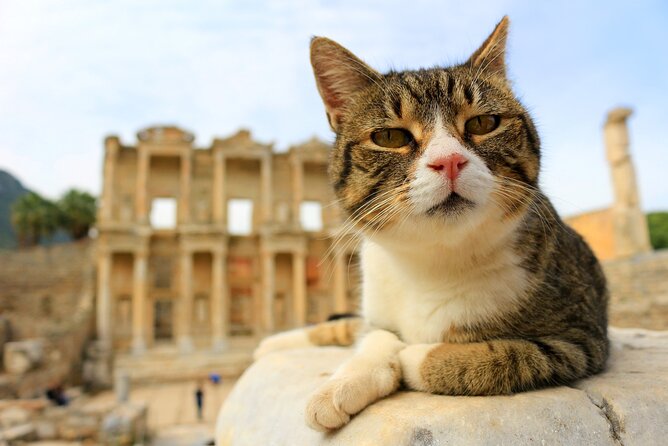Magnificent Ephesus Tour From Kusadasi Hotels / Selçuk Hotels - Accessibility Features