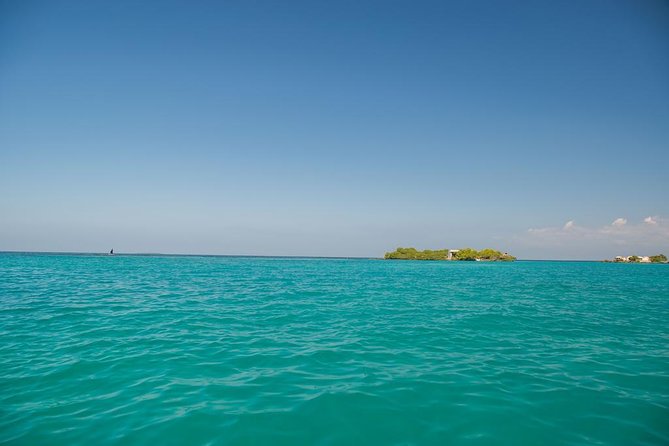 Majagua Island Day Trip From Cartagena Including Traditional Colombian Lunch - Traveler Reviews and Ratings