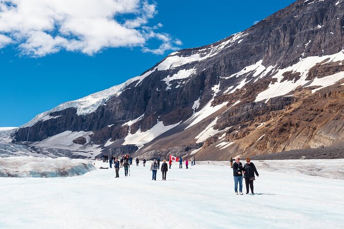 Majestic Icefield Journey: Day Excursion From Calgary - Customer Reviews